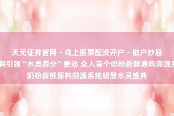天元证券官网 - 线上股票配资开户 - 散户炒股如何杠杆注册 飞鹤引颈“水灵养分”更动 众人首个奶粉新鲜原料溯源系统明慧水灵盛典